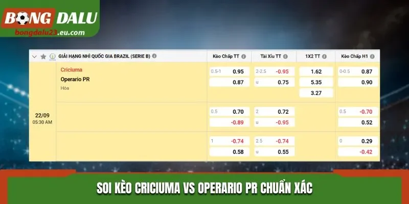 Soi kèo Criciuma vs Operario PR chuẩn xác qua bảng tỷ lệ kèo